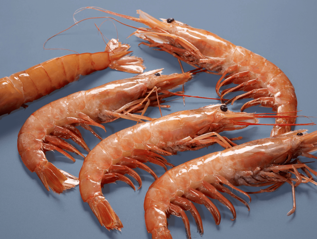 Whole Argentine red shrimp
